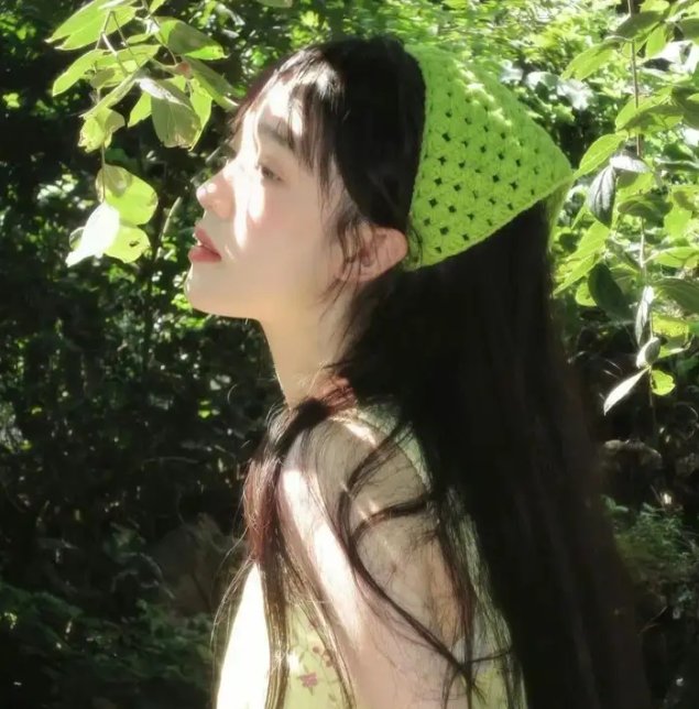 鳄鱼藏尸日记