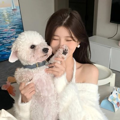 新恋爱经